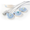 MVL-12CT - Image 5